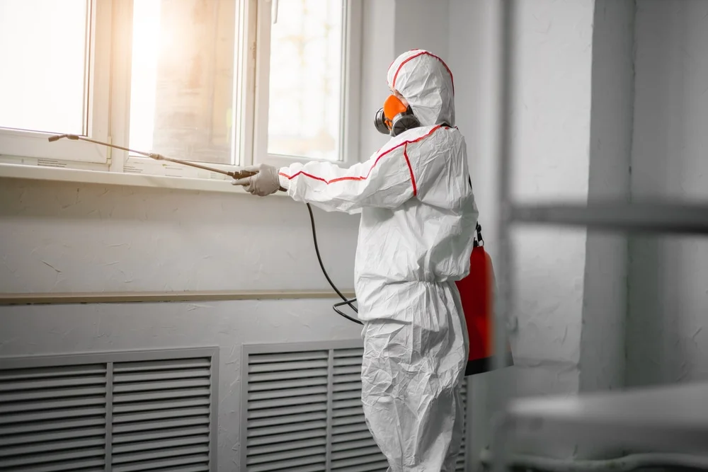 Professional mold remediation services in Reynolds, IN